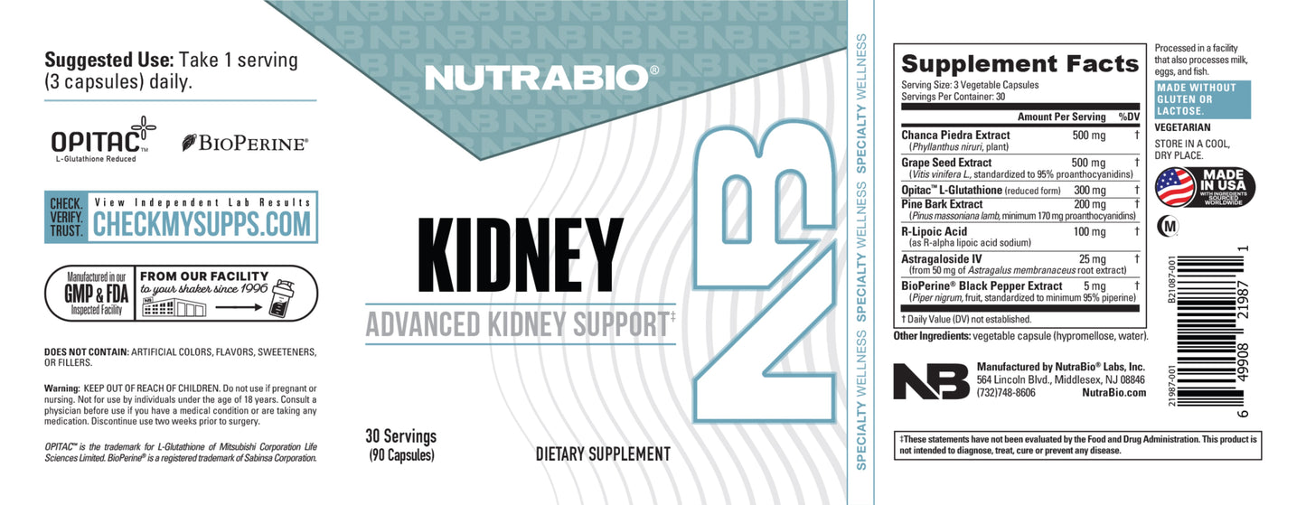 Kidney - Image 3
