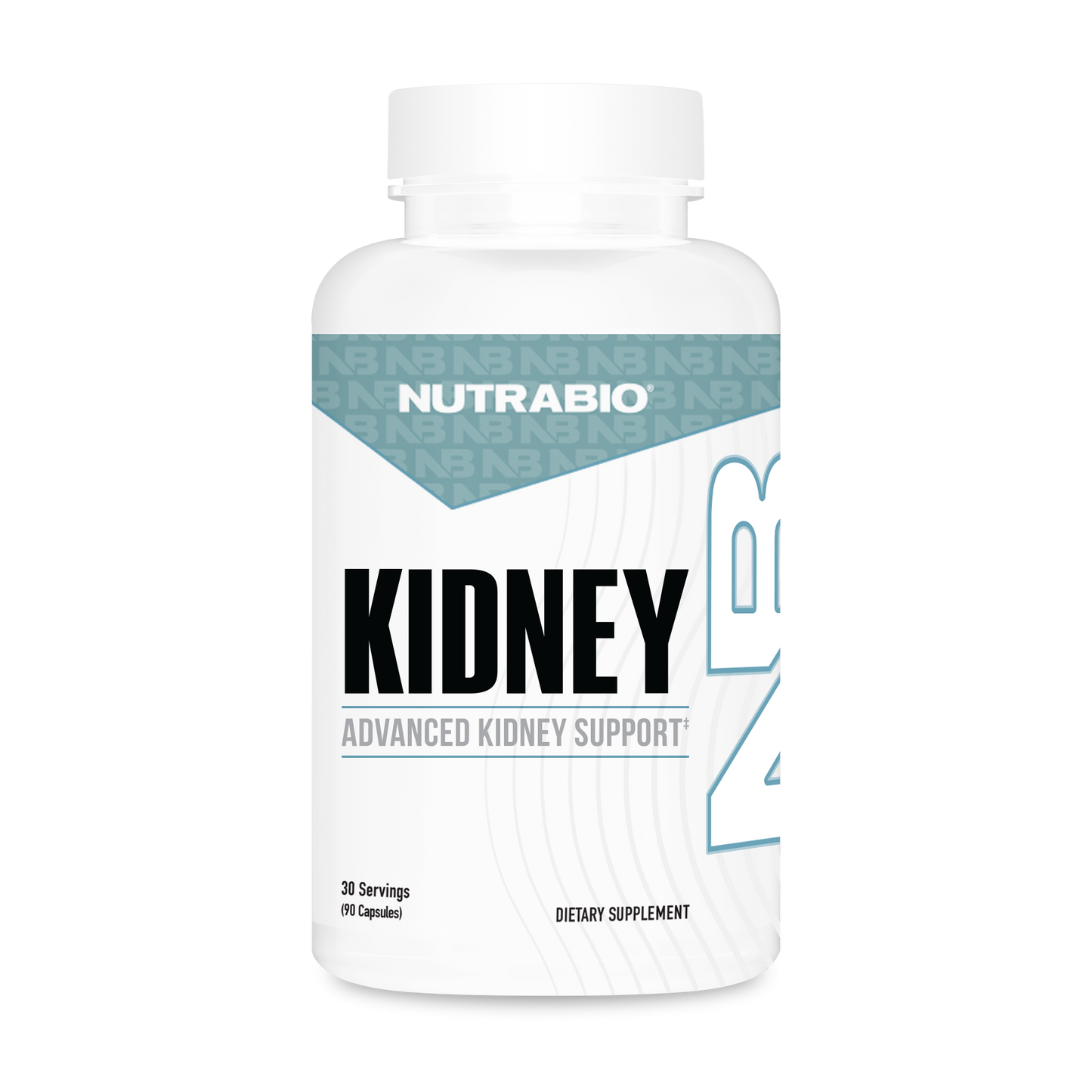 Kidney - Image 1