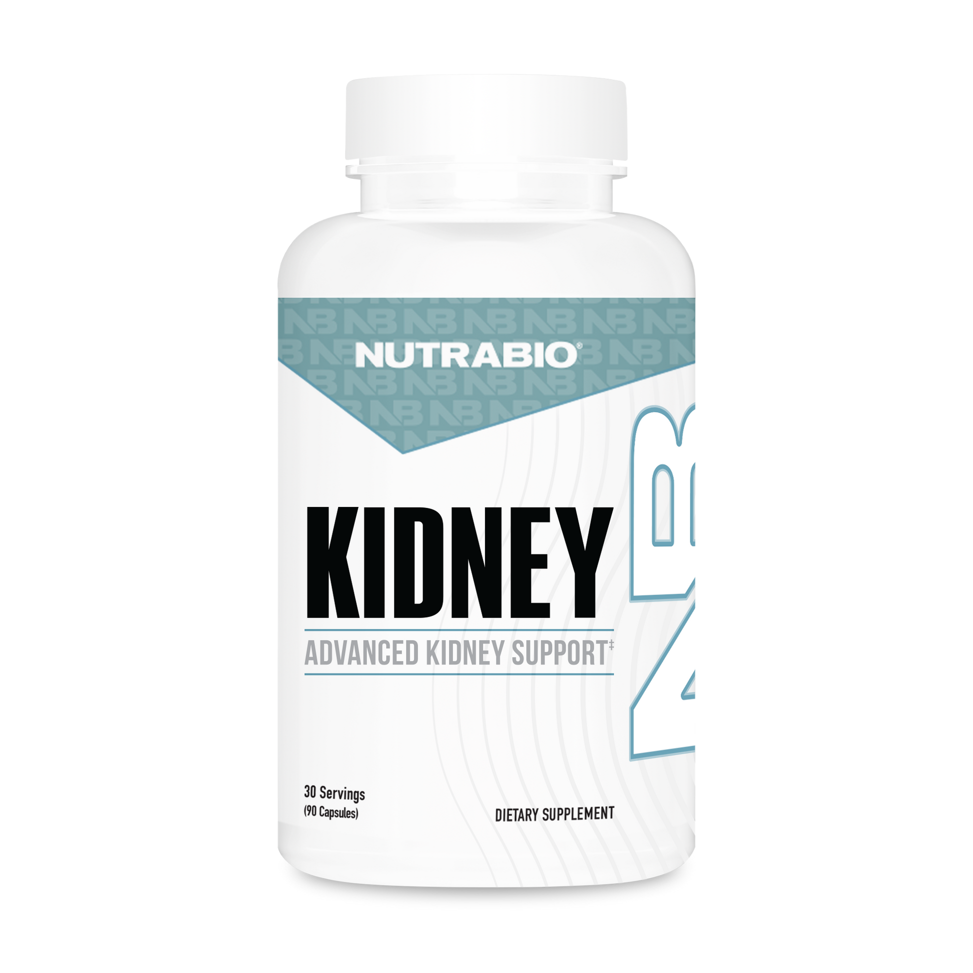 Kidney - Image 1