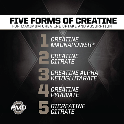 CR5® Professional Creatine Complex - Image 10