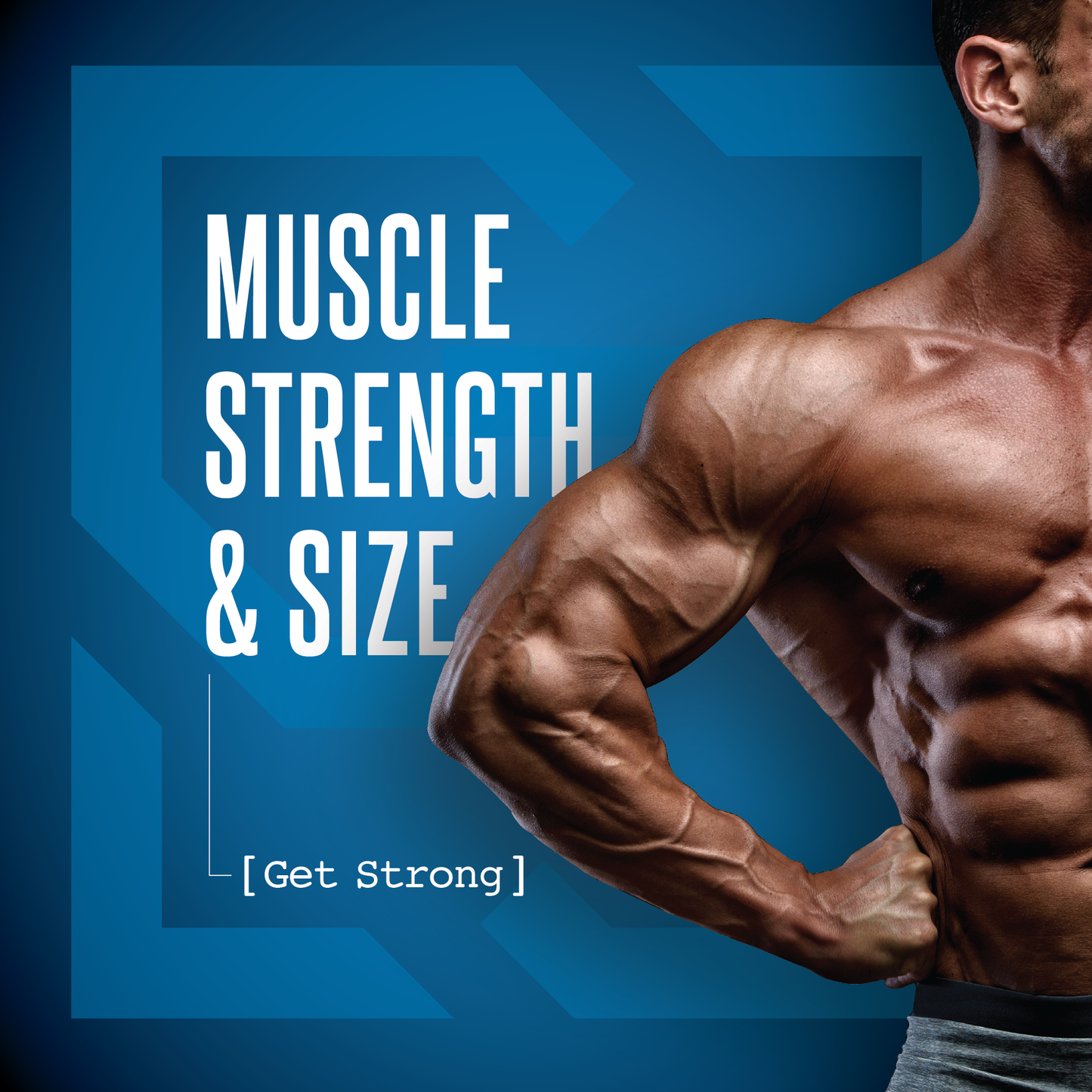 D1-T Strength - Image 5