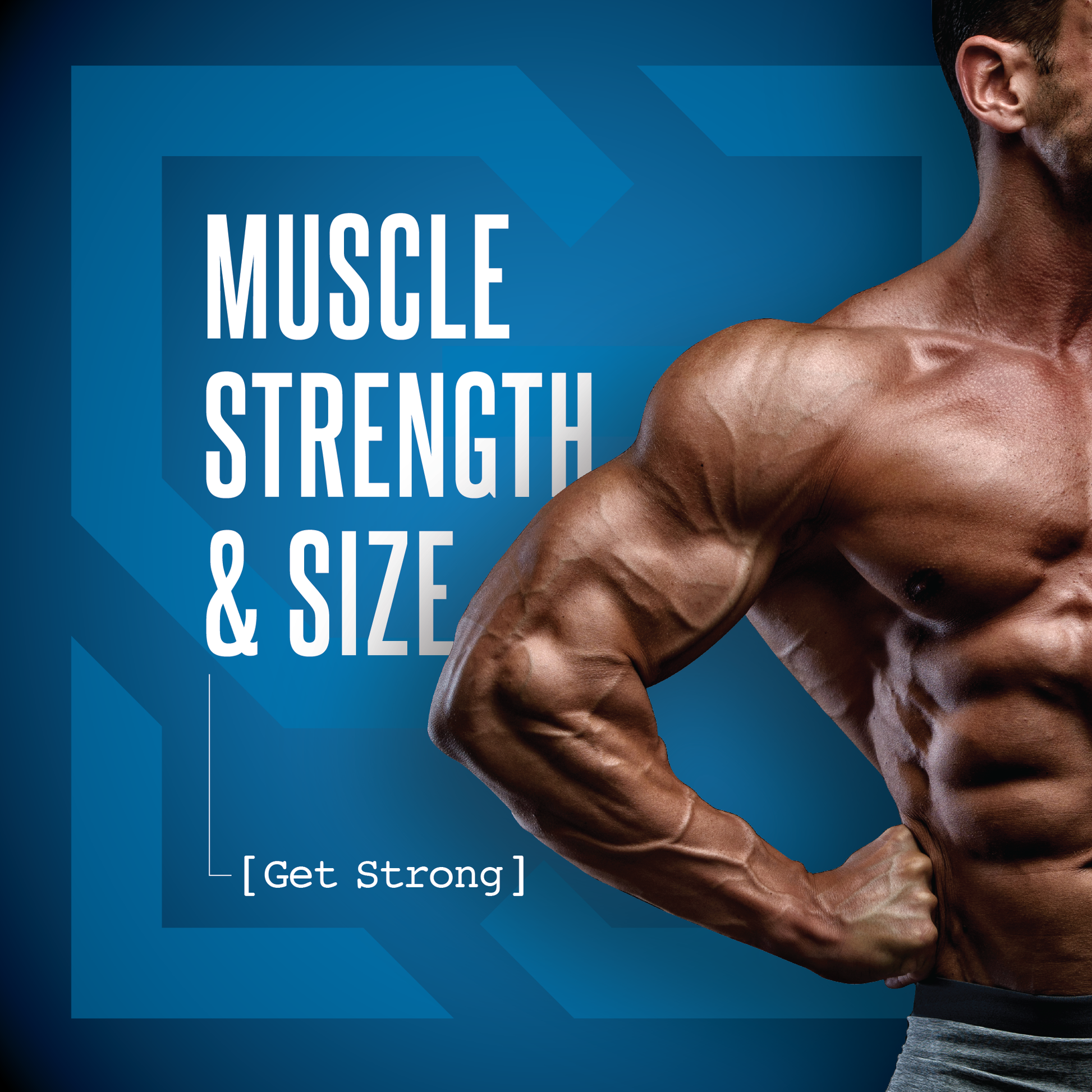 D1-T Strength - Image 5