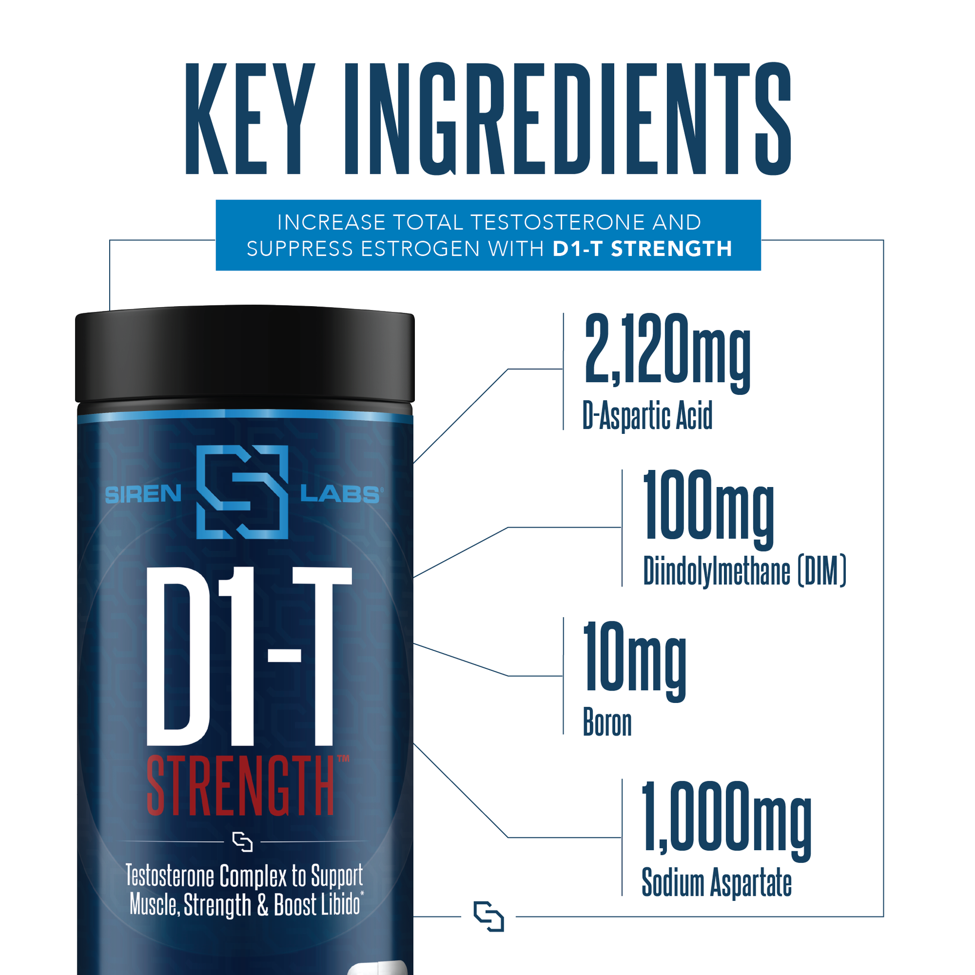 D1-T Strength - Image 7