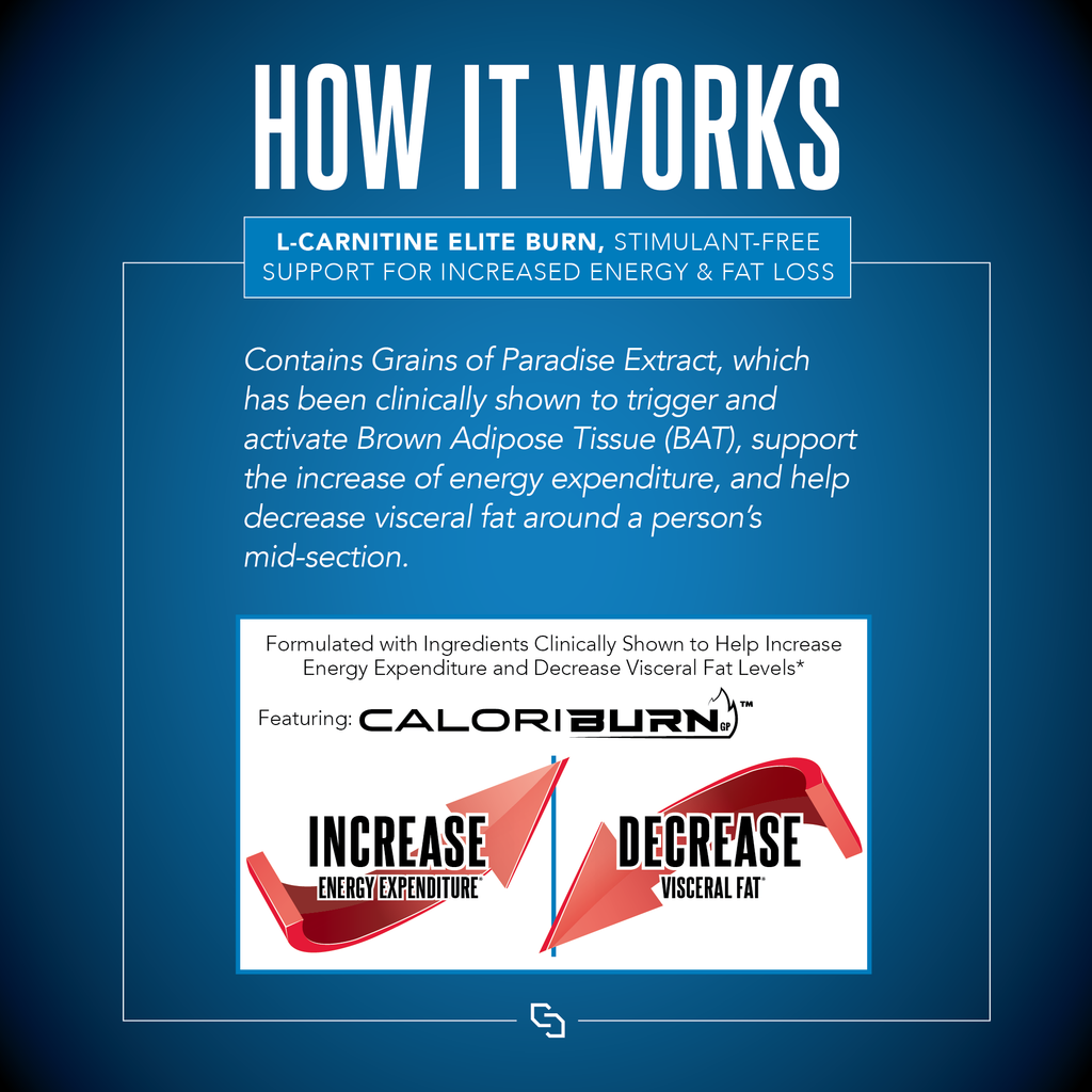 L-Carnitine ELITE BURN™