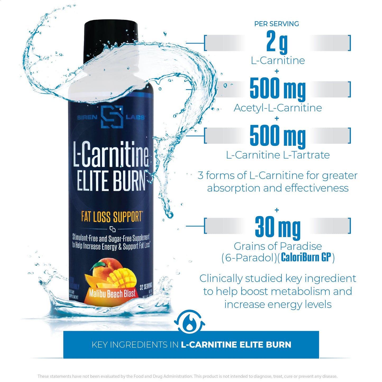L-Carnitine ELITE BURN™ - Image 11