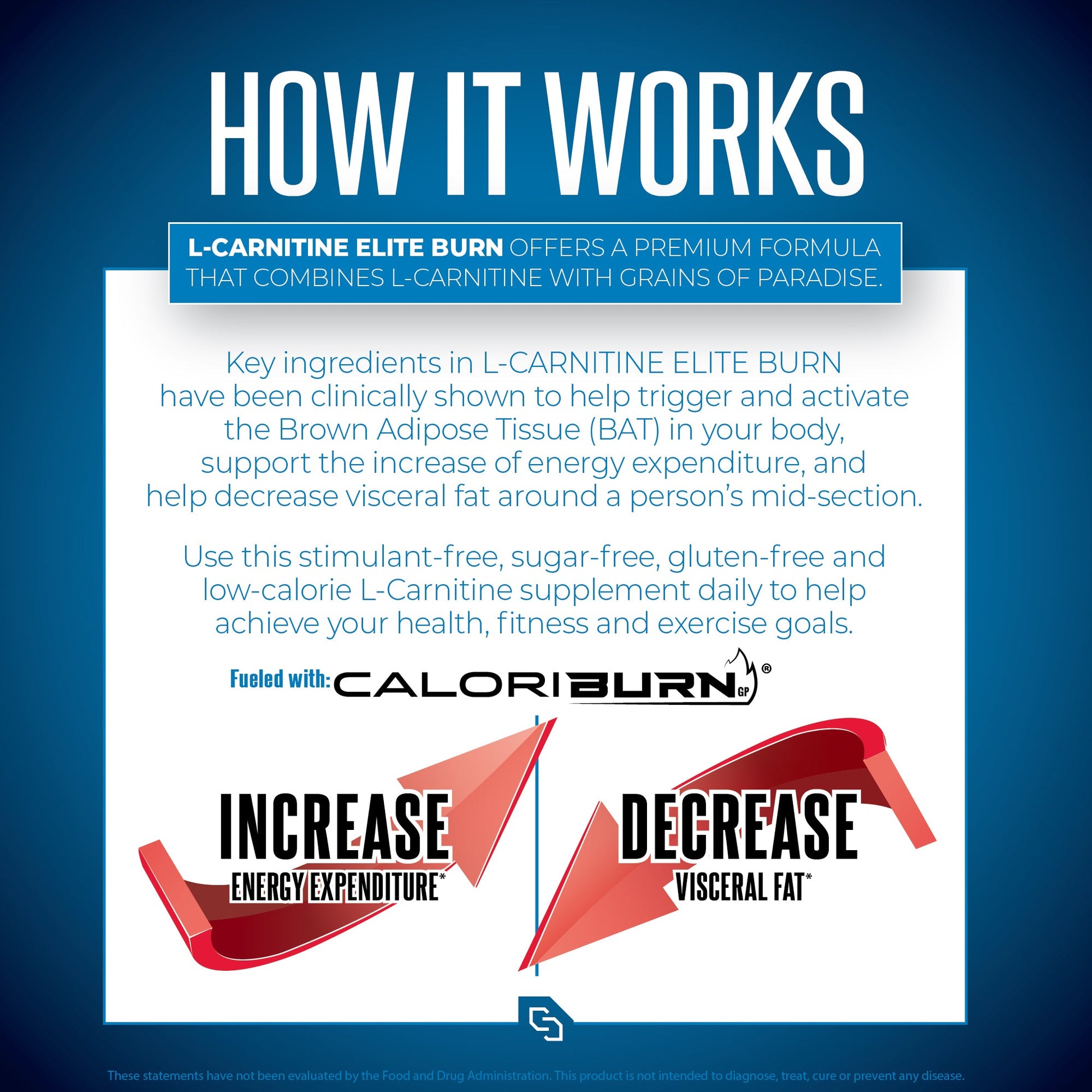 L-Carnitine ELITE BURN™ - Image 4