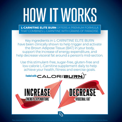 L-Carnitine ELITE BURN™ - Image 4