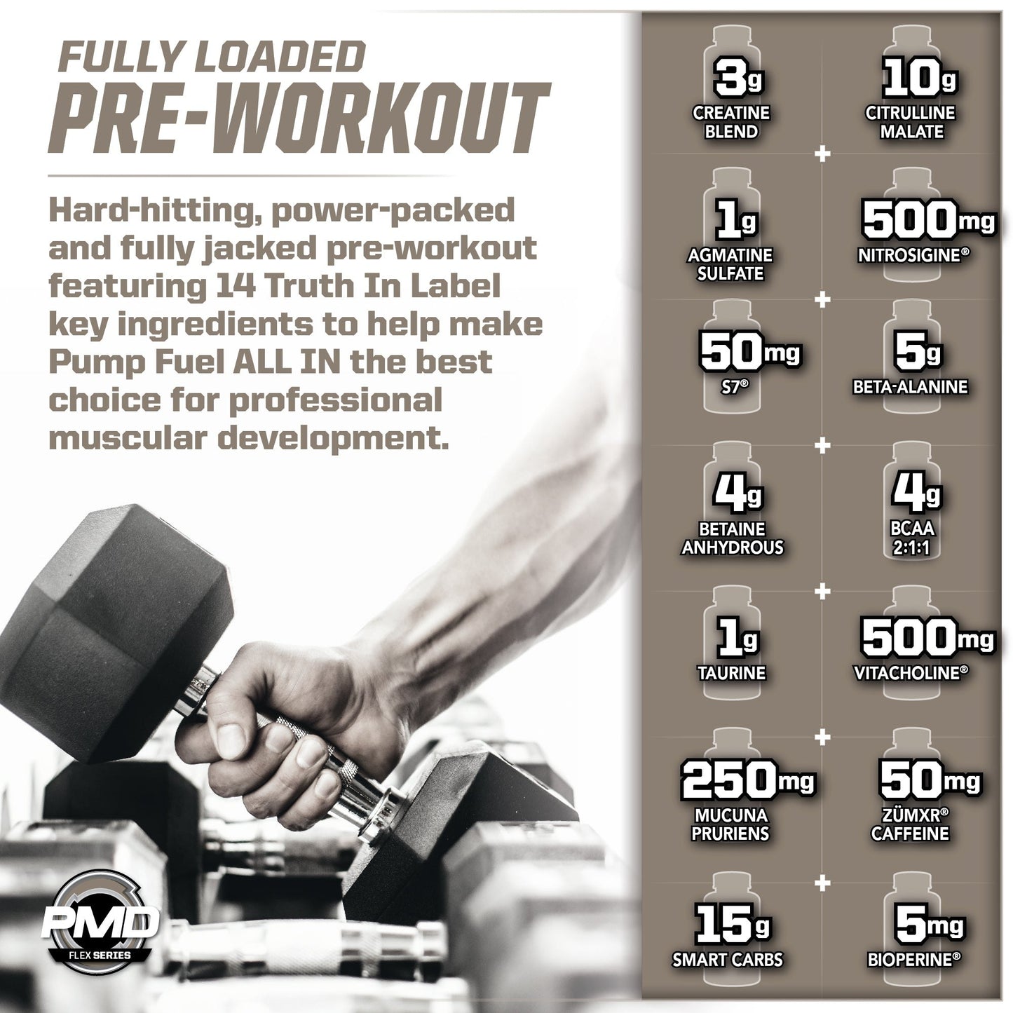 Pump Fuel® ALL IN Insanity