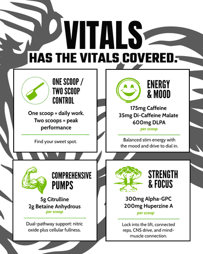 VITALS - Image 10