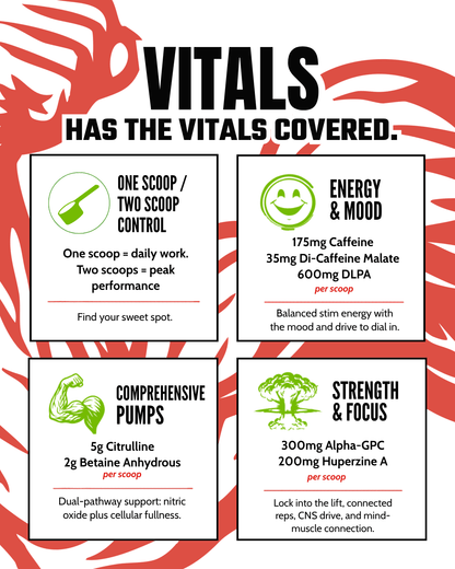 VITALS - Image 5
